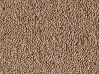 Carpets from Martin Leah Flooring
