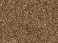 Eco Collection from Martin Leah Flooring